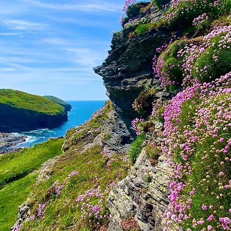 Polrunny Farm Blackberry Cottage - Cornwall Bliss In Sight Of The Sea Boscastle Exterior photo