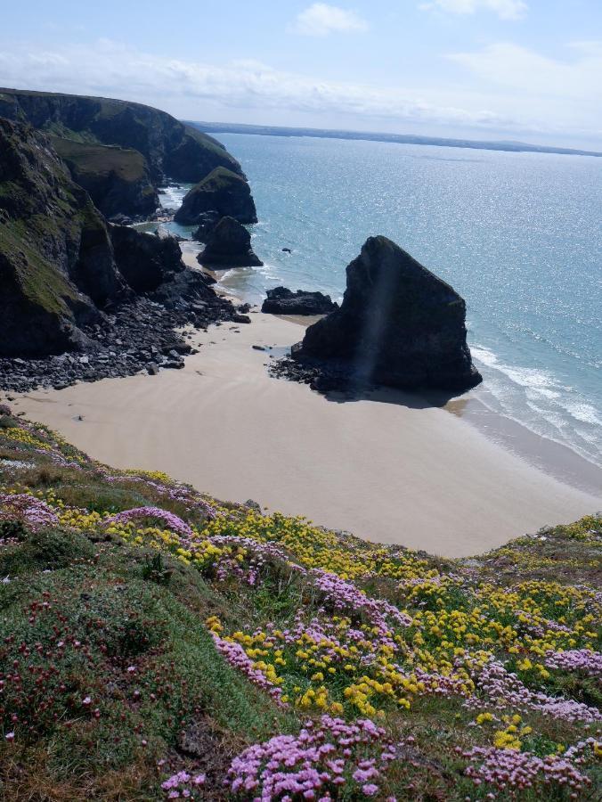 Polrunny Farm Blackberry Cottage - Cornwall Bliss In Sight Of The Sea Boscastle Exterior photo