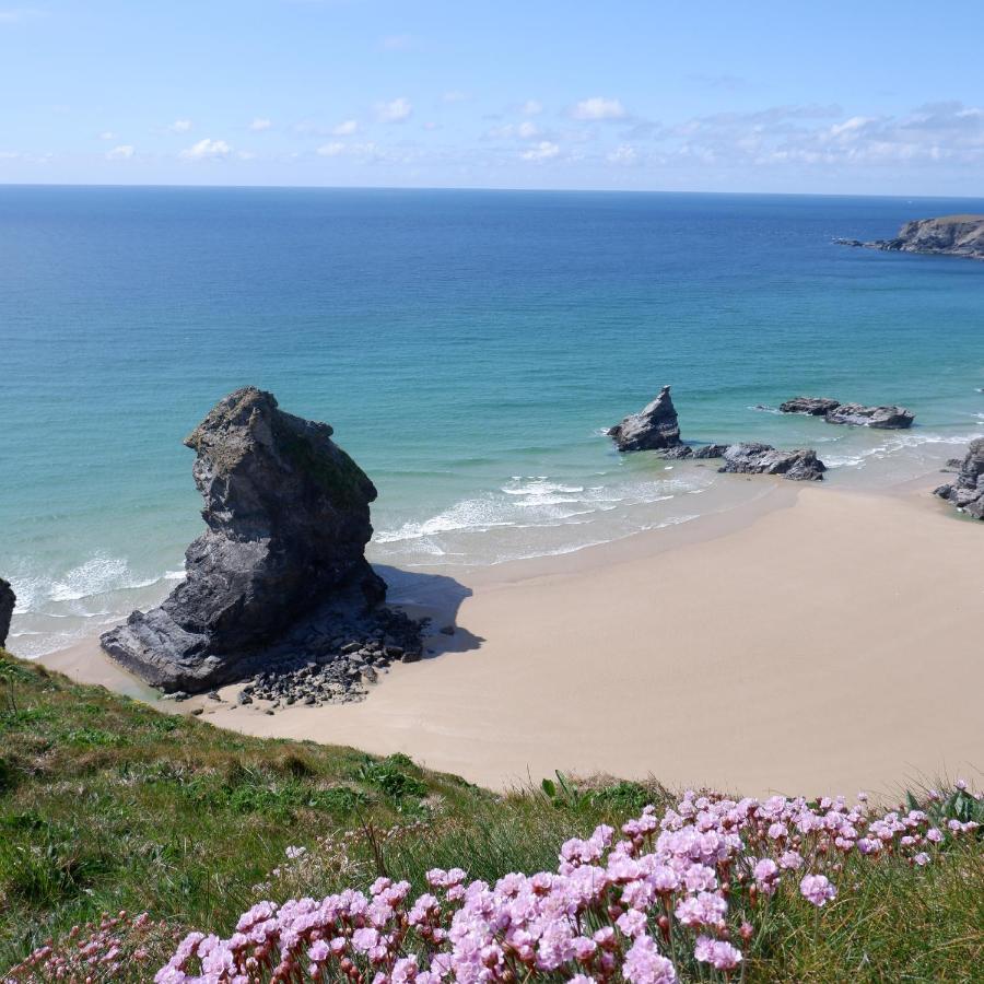 Polrunny Farm Blackberry Cottage - Cornwall Bliss In Sight Of The Sea Boscastle Exterior photo