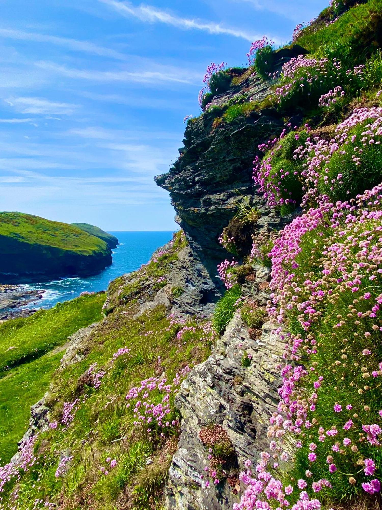 Polrunny Farm Blackberry Cottage - Cornwall Bliss In Sight Of The Sea Boscastle Exterior photo